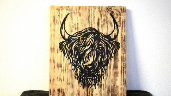 Hairy Cow