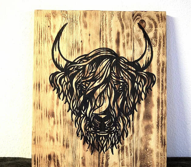 Hairy Cow